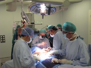DIEP Flap demonstration in Spain